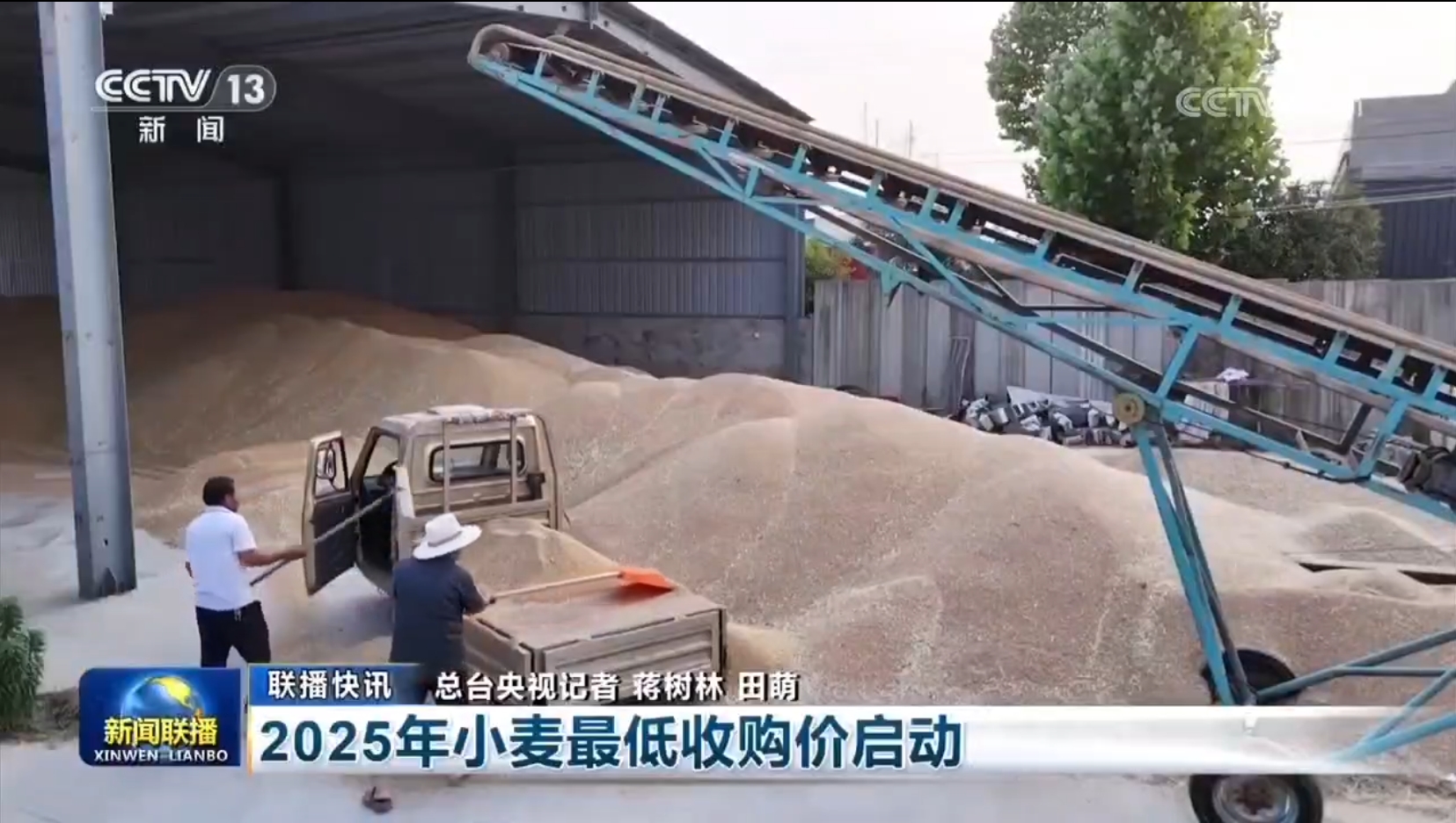 新闻联播：2025年小麦最低收购价启动（视频）