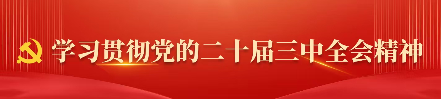 学习贯彻党的二十届三中全会精神